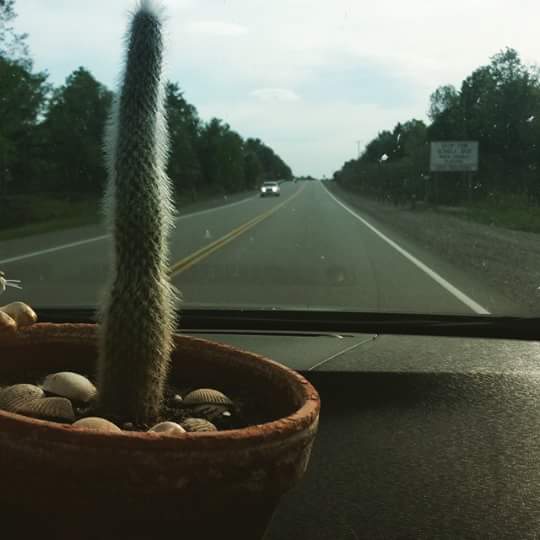 FB_IMG_1433209478284